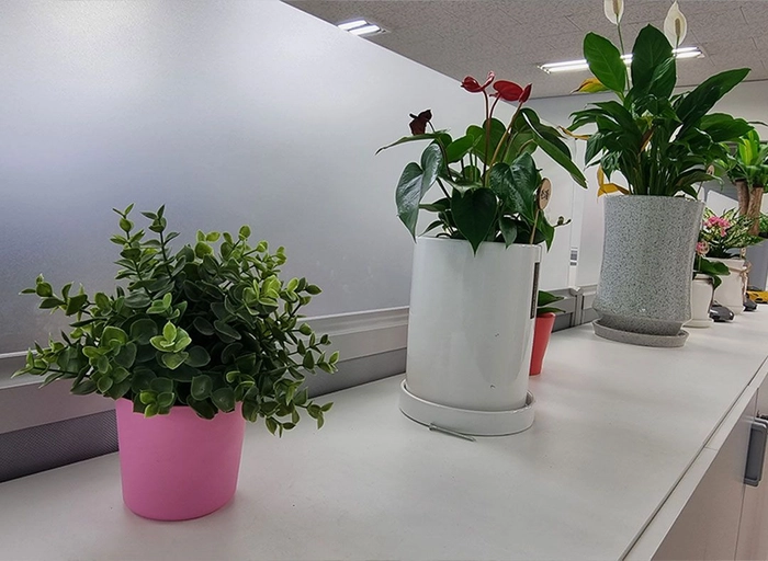 심플랫폼-ML Engineer(LLM/AI Agent) - 병역특례/외국인 가능