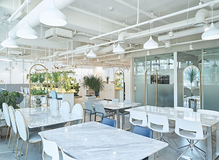 씨엠에스랩(CMS LAB)-[셀퓨전씨] 주니어 브랜드 마케터