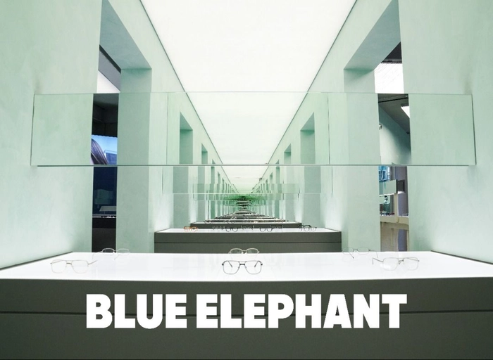 블루엘리펀트-글로벌 이커머스 MD (틱톡 & 쇼피파이, 3~6년)