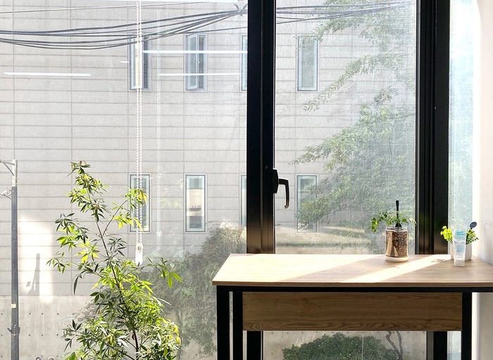 볼드나인-back-end 개발자