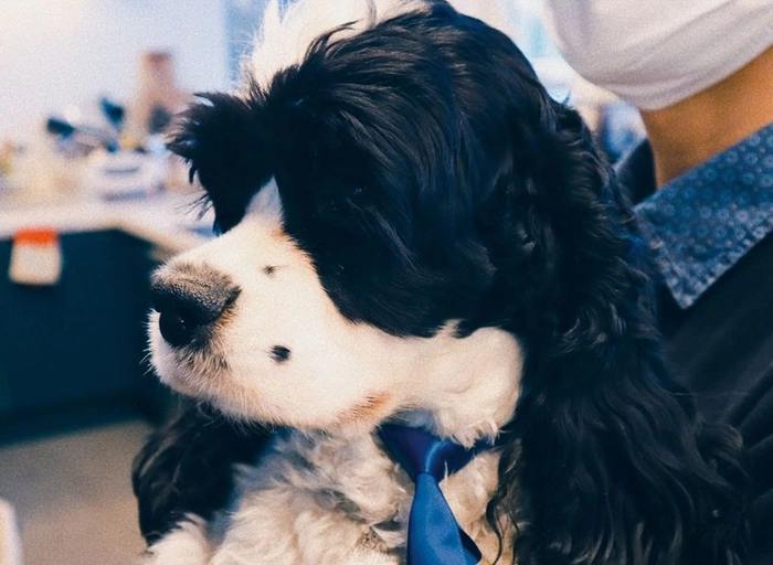 팀솔루션-테크니컬 라이터(Technical Writer)