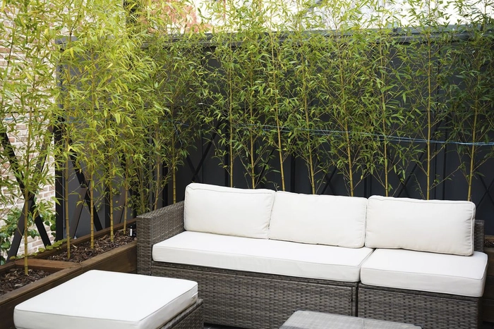 디알엑스-DRX 교육사업팀 팀장