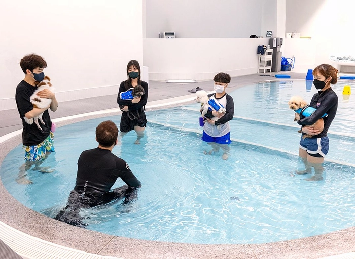 스파크펫-[knollo] 영상 PD (육아휴직 대체 계약직)