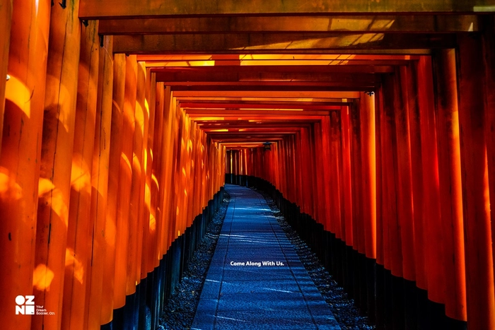 오즈원(oz1)-GUI 디자이너