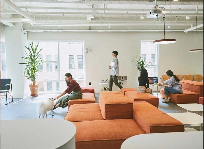 보더엑스-Global Marketing AE