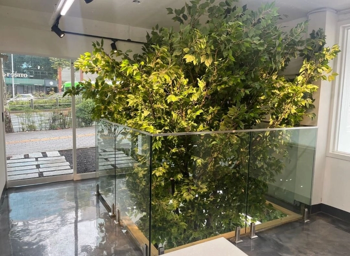 아이오로라-결제사업팀 팀장