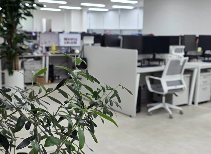 순녹-[바이브랩] 글로벌 MD 팀장