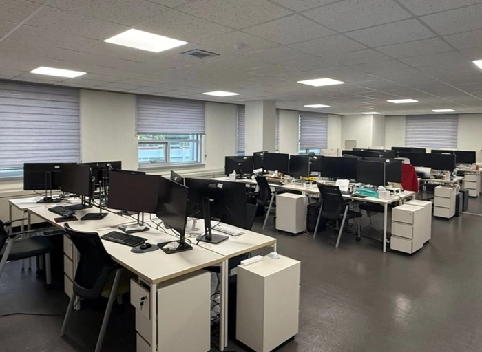 퀀텀에이아이-[Insurance] AI Business Development Team