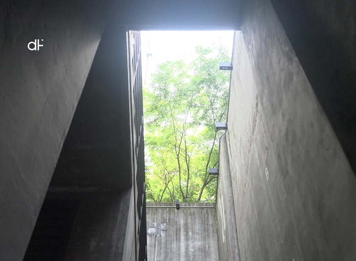 디자인피버-브랜드 콘텐츠 사업본부 디렉터