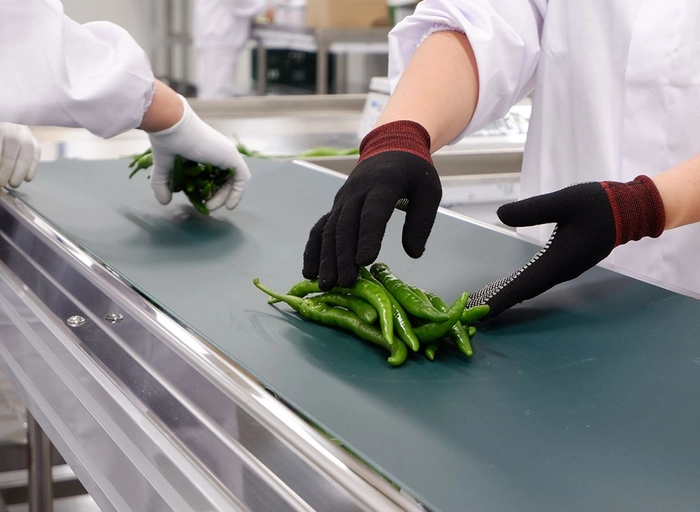 푸드팡-영업본부 본부장