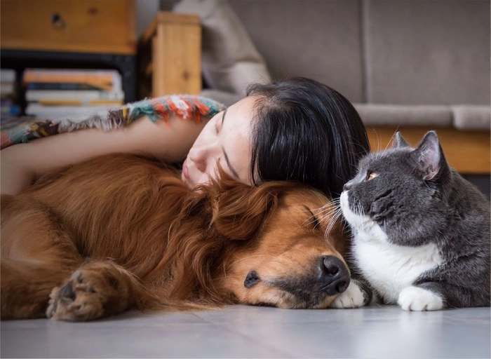 핏펫(Fitpet)-자금 담당자