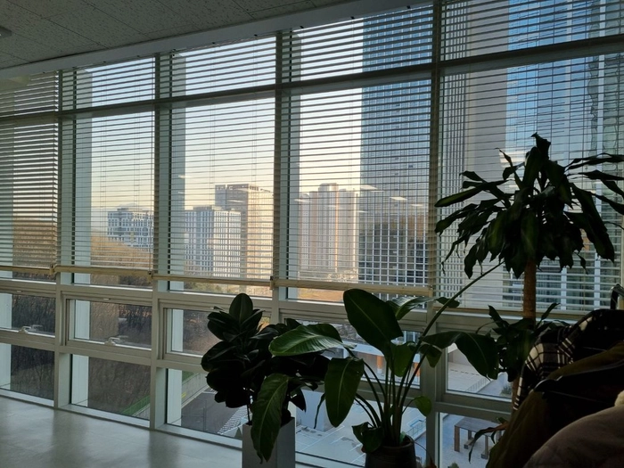 인텔리어스-풀스택 개발자