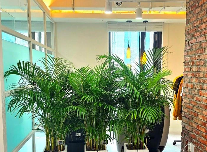 스쿨버스-통학차량 서비스 운영 담당자(신입/주니어)