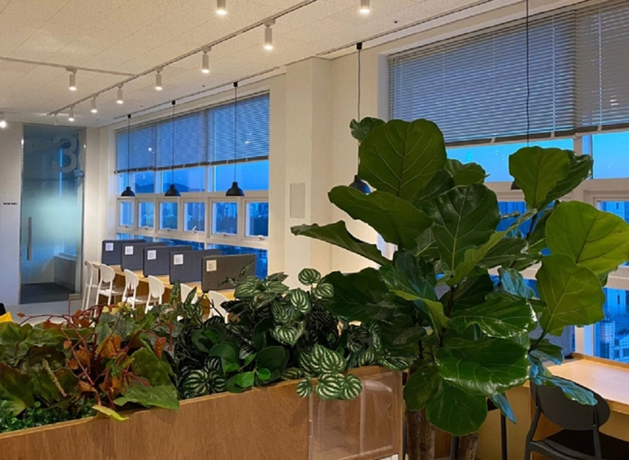 코드크레인(CodeCrain)-백엔드 개발자