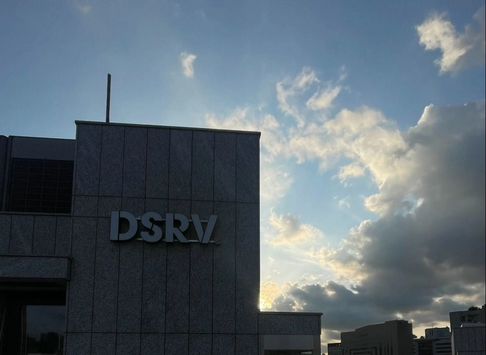 디에스알브이랩스(DSRV)-백엔드 개발자