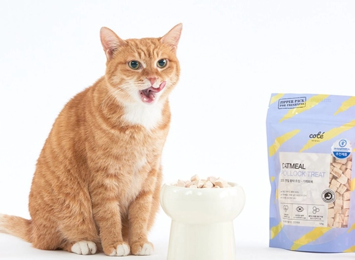 브랜드홀더-[코이] 뷰티브랜드 마케터