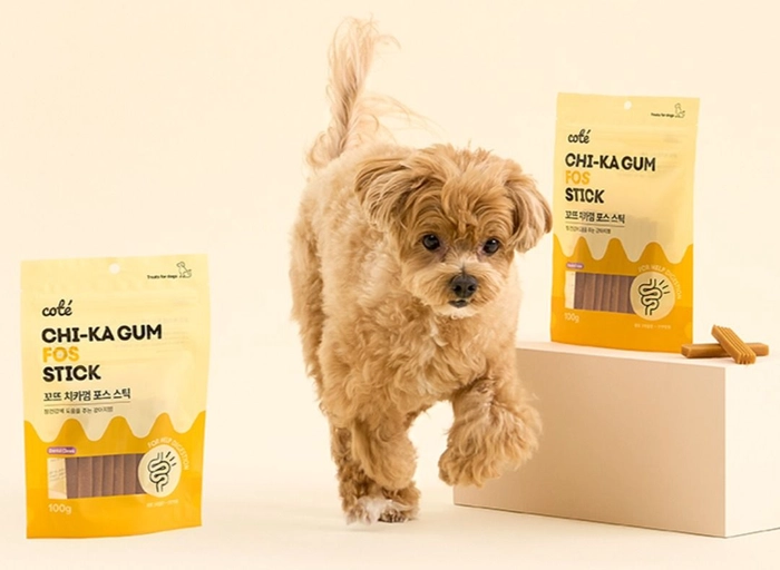 브랜드홀더-[코이] 뷰티브랜드 마케터