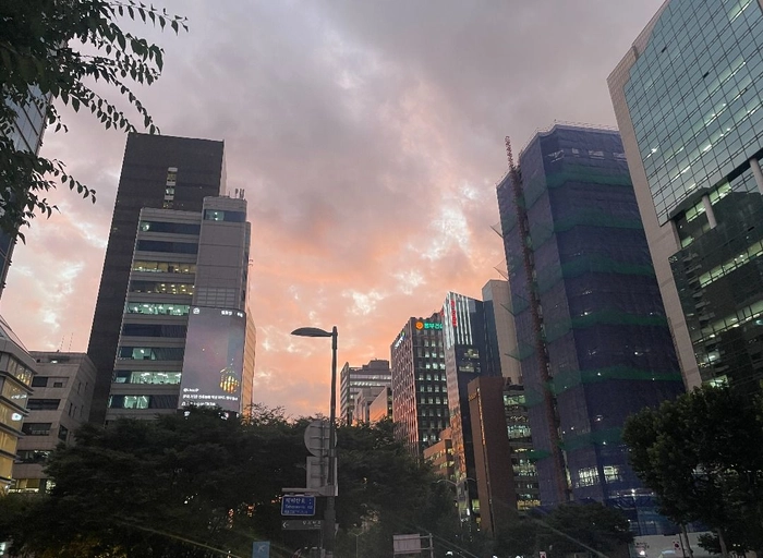 커넥트밸류-웹 개발자