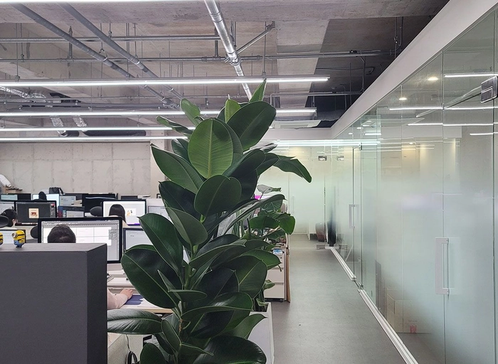 디토나인-PHP 개발자