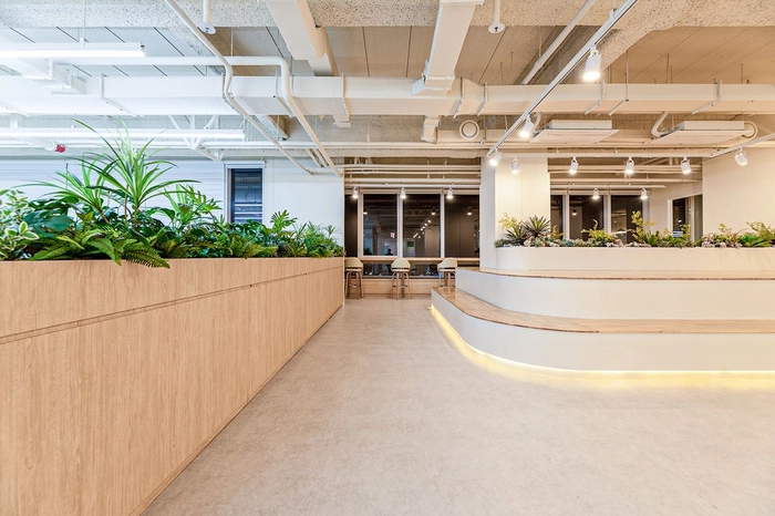 하이네이처-글로벌 뷰티 브랜드 컨텐츠 영문 카피라이터