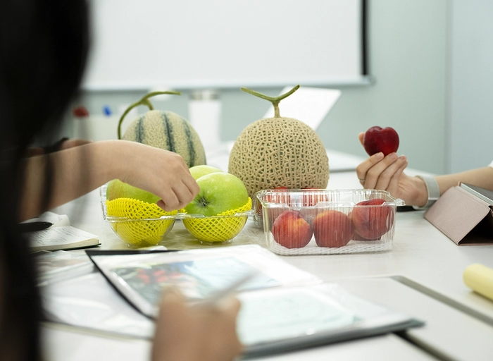 온브릭스-상품기획개발 MD (5년 이상)