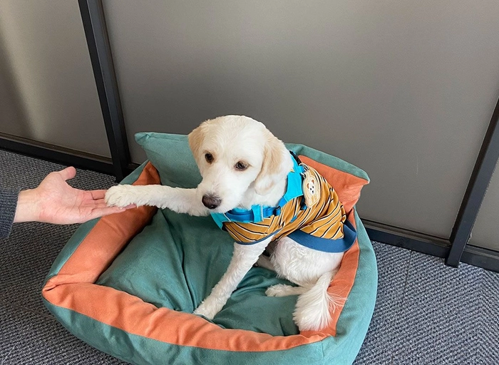 알잘-영상 편집자 (유튜브, 브랜드)