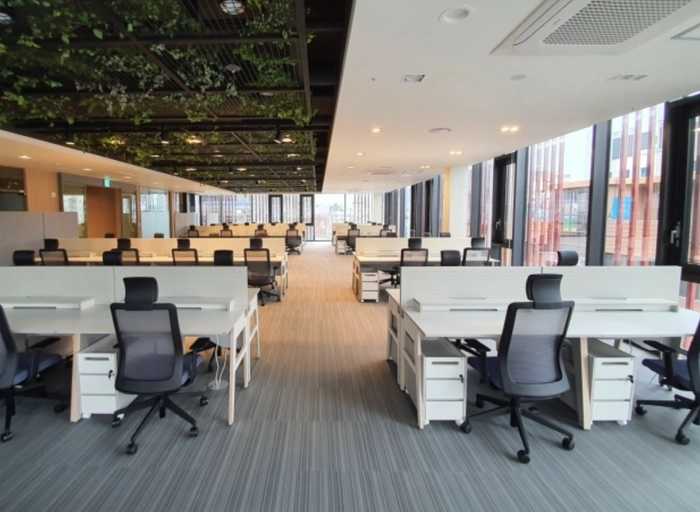 이매지니어스-웹 개발자