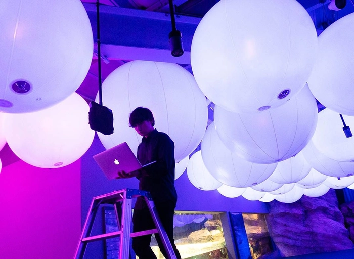 팀랩 (teamLab)-法務アシスタント