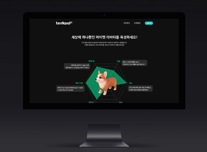 테리랜드-서버/백엔드 개발자