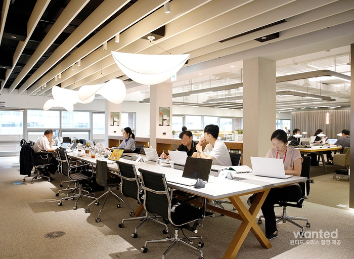 에스케이디앤디(SK D&D)-모바일 앱 개발자 (Flutter)