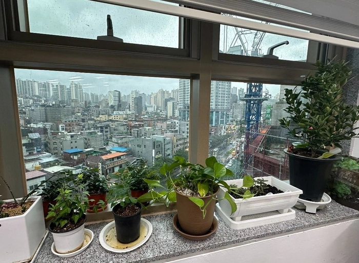 데이터드리븐-풀스택 개발자