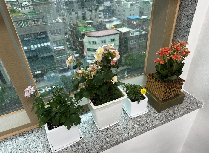 데이터드리븐-풀스택 개발자