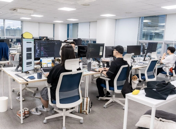 이지식스(MVL)-[Blockchain] Backend Engineer