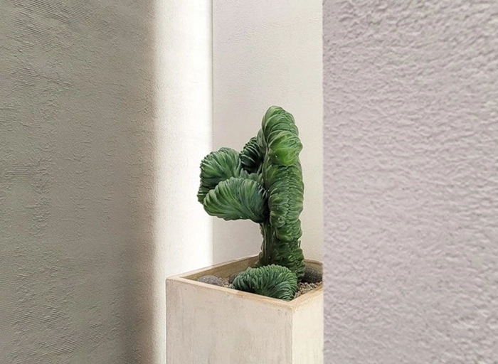 테라바이오텍코리아-외국계 영양제 브랜드 디자이너(웹/패키지)