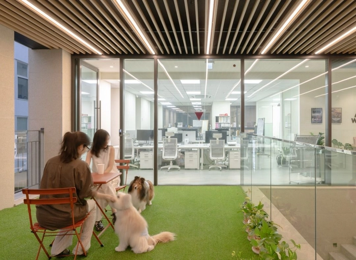 월더-[허레이] 글로벌 MD