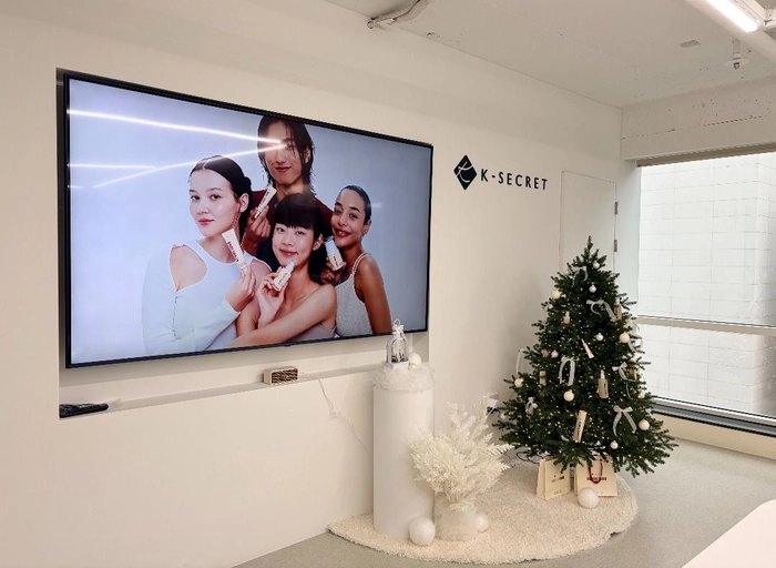 케이시크릿-화장품 해외 플랫폼 사업 - 발주 유통 부문