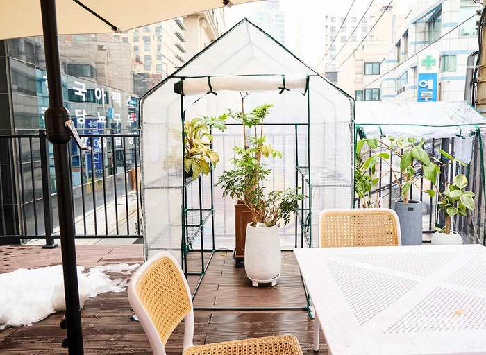 미밍-미국 아마존 MD 3년 이상