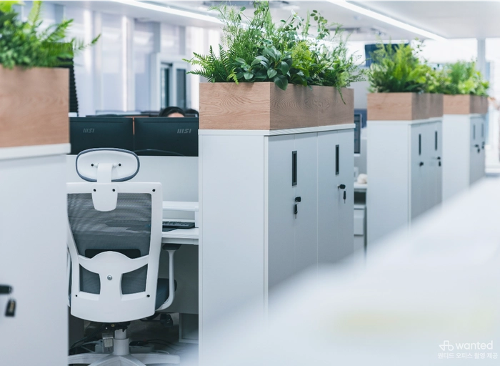 네오커스-일본향 콘텐츠 마케터