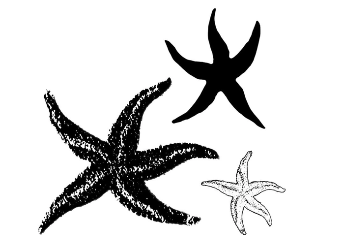 소셜에티켓-웹디자이너