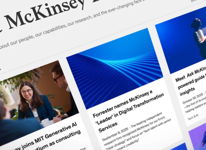 맥킨지(McKinsey)-Business Analyst