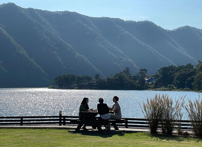 알티비하우스(RTB House)-Account Manager (운영)