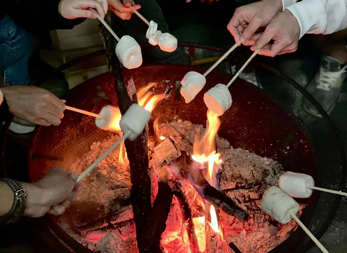 알티비하우스(RTB House)-Account Manager (운영)