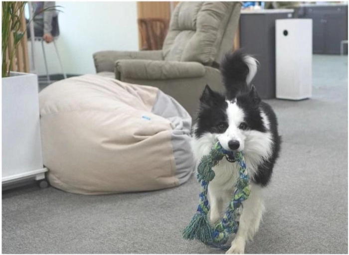 유나이티드보더스-[한품] K-푸드 글로벌몰 CX 매니저