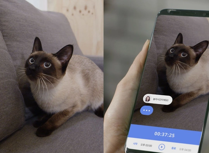 펫피플-CS 매니저
