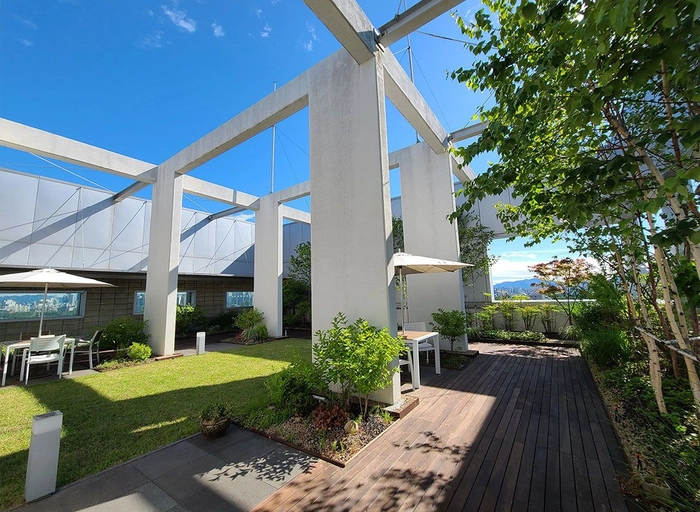 단비교육-Front-end Developer