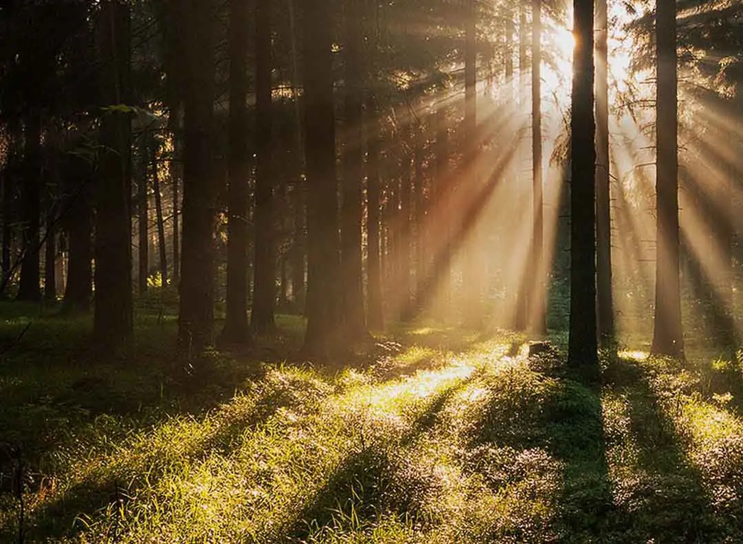 케이씨그린홀딩스 기업정보 - 채용 0건, 평균연봉 5,852만원, 인원 13명, 업력 52년, 서울 마포구 | 원티드