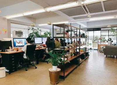 UI/UX/Visual Designer