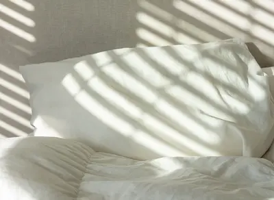 [Vision AI & 자동화 설비] 테크본부 AI 개발자