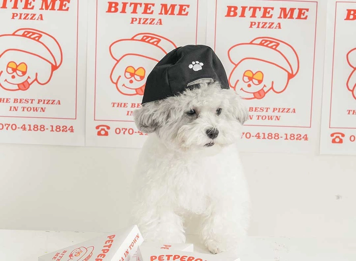 바잇미-반려동물 용품 일본시장 개척 및 관리