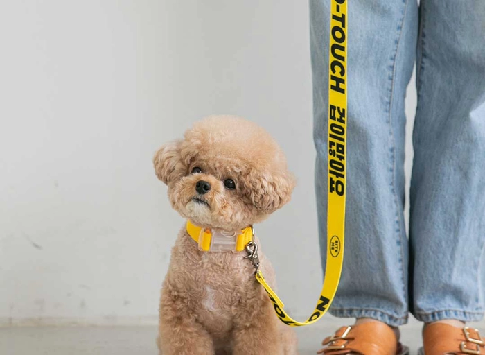 바잇미-반려동물 용품 일본시장 개척 및 관리